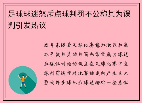 足球球迷怒斥点球判罚不公称其为误判引发热议